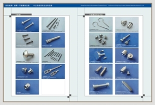 產(chǎn)品展示之三,華人螺絲網(wǎng)提供各種產(chǎn)品展示之三報(bào)價(jià)、價(jià)格、生產(chǎn)廠家、供應(yīng)商-HK榮興公司;威信柏五金制品廠